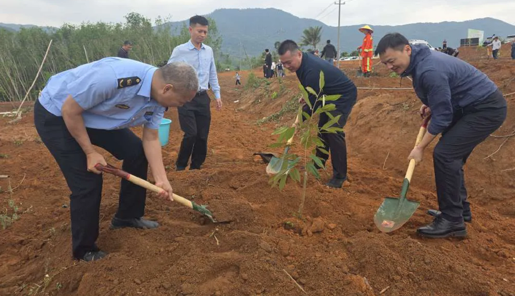 今天，我们把春天“植”进了台楼村！